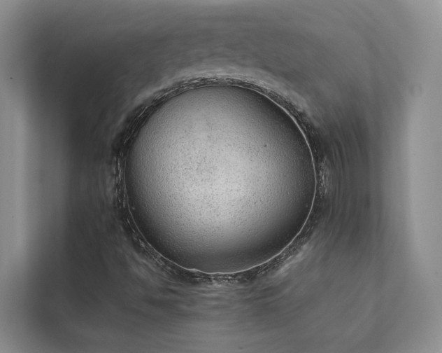 X0000111351494200907101158