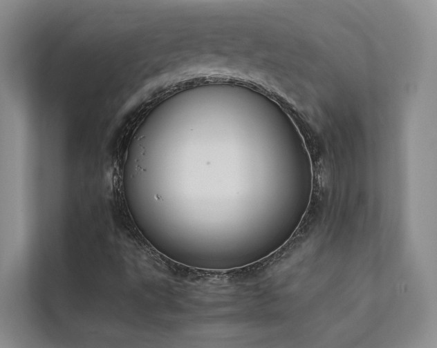 X0000111351495200907101158