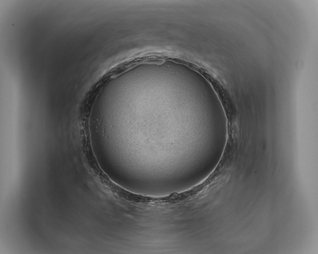 X0000111351496200907101158