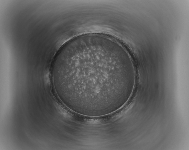 X0000111351497200907101158