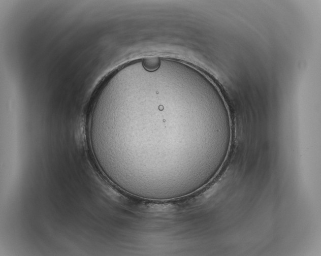 X0000111351498200907101158