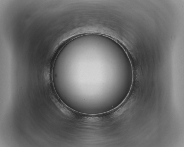X0000111351499200907101158