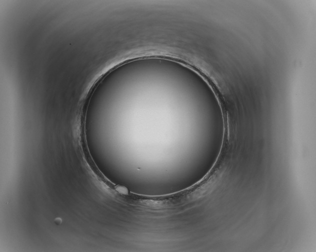 X0000111351500200907101158