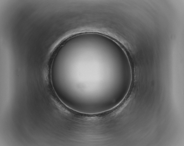X0000111351502200907101159