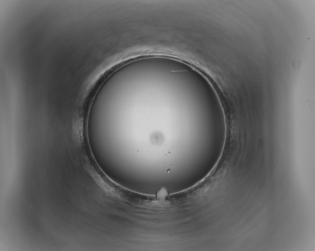 X0000111351503200907101159