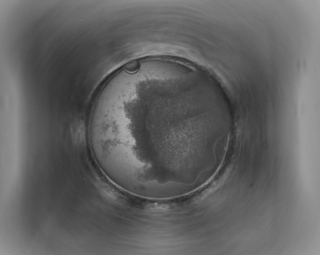 X0000111351505200907101159