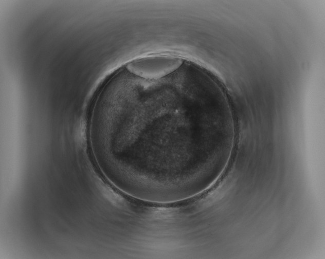 X0000111351506200907101159