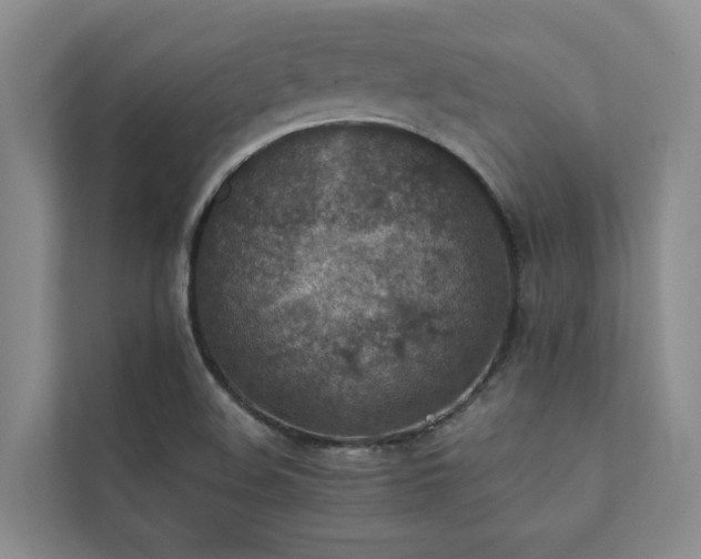 X0000111351508200907101159