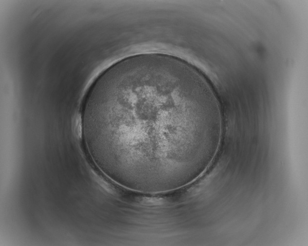 X0000111351509200907101159