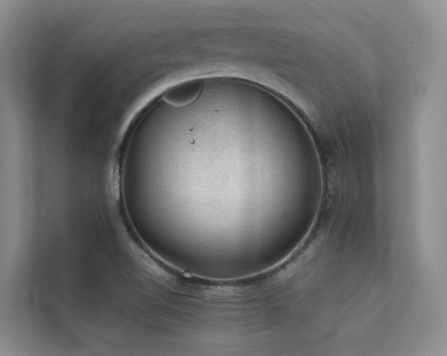 X0000111351510200907101159