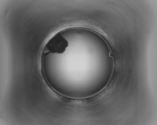 X0000111351512200907101159