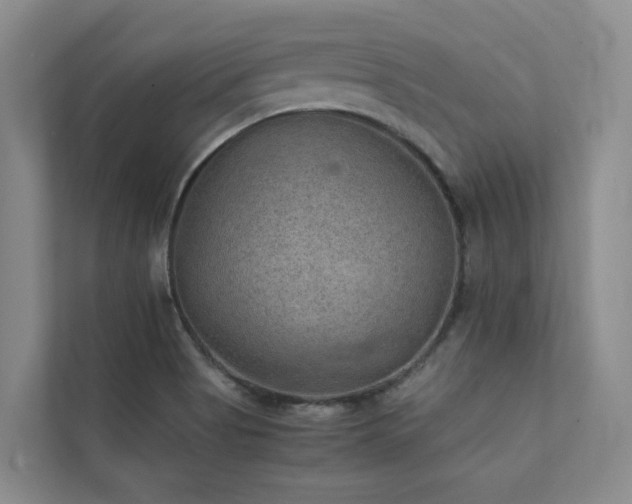 X0000111351513200907101159
