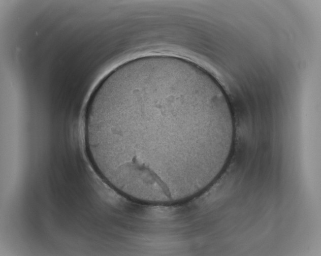 X0000111351514200907101159