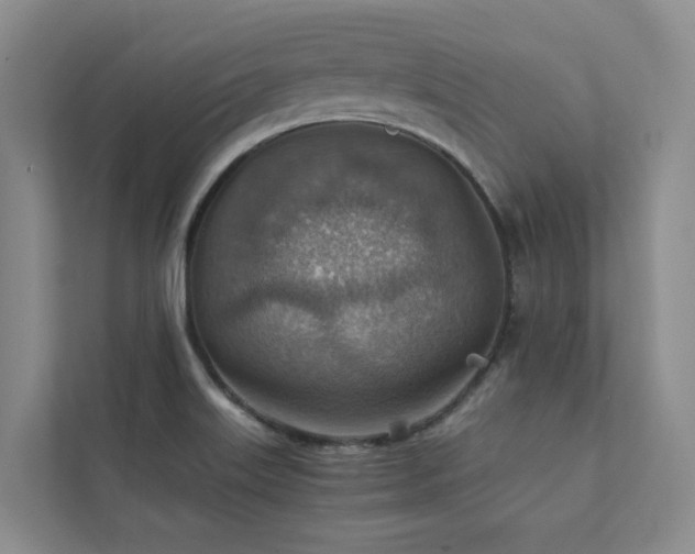 X0000111351515200907101159