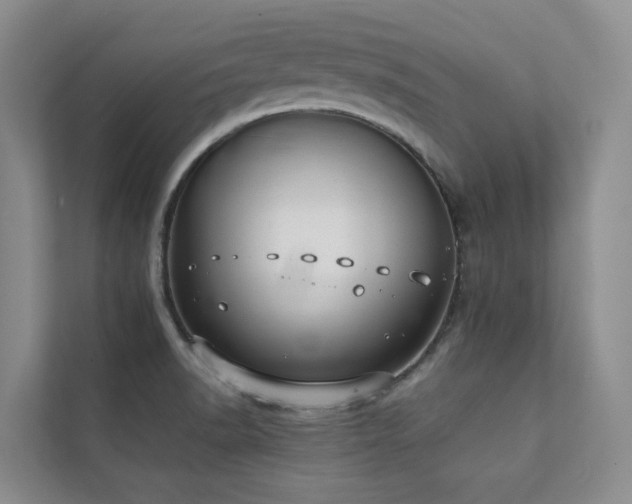 X0000111351518200907101159