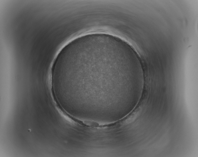 X0000111351519200907101159
