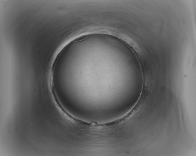 X0000111351520200907101159