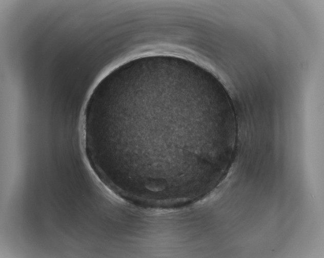 X0000111351522200907101159