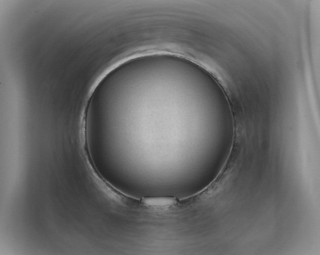 X0000111351524200907101159