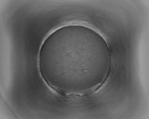 X0000111351525200907101159