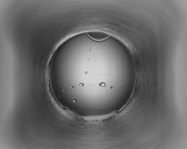 X0000111351526200907101159