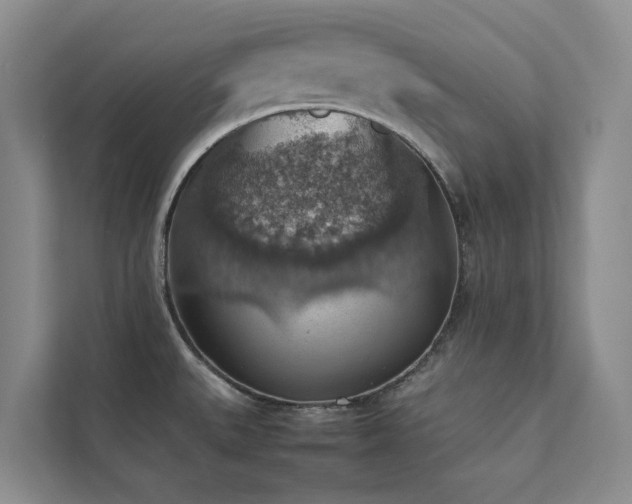 X0000111351527200907101159