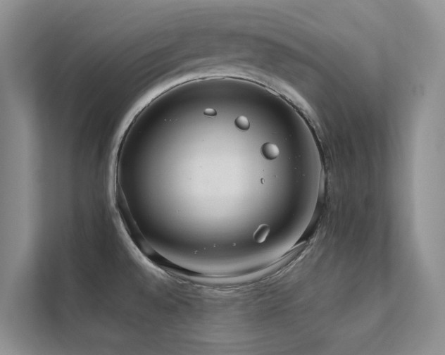 X0000111351528200907101159