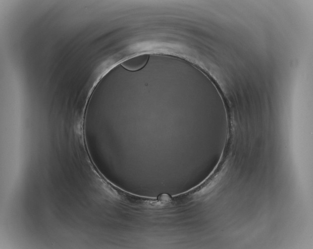 X0000111351529200907101159