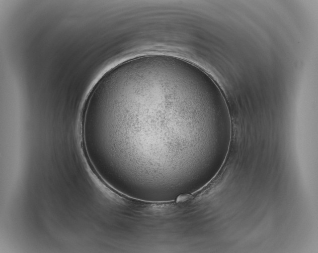 X0000111351531200907101159