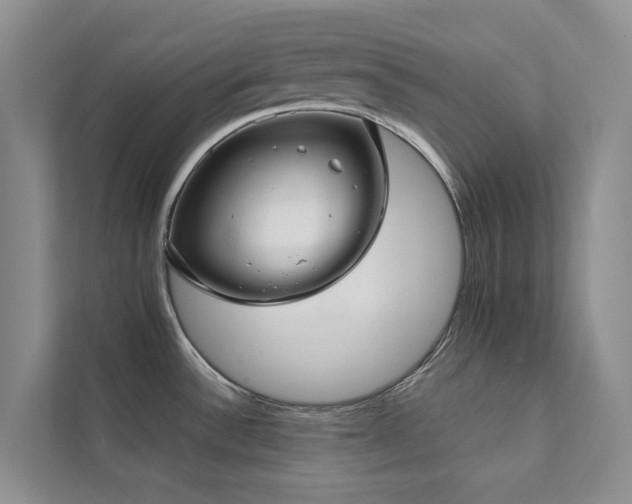 X0000111351532200907101159