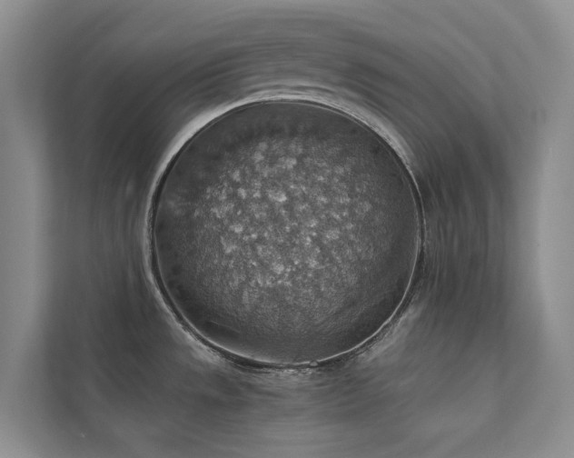 X0000111351533200907101159