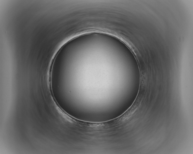X0000111351535200907101159