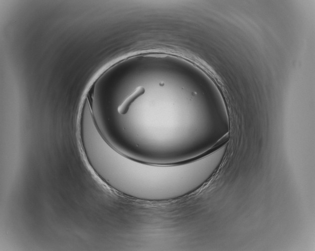 X0000111351536200907101159