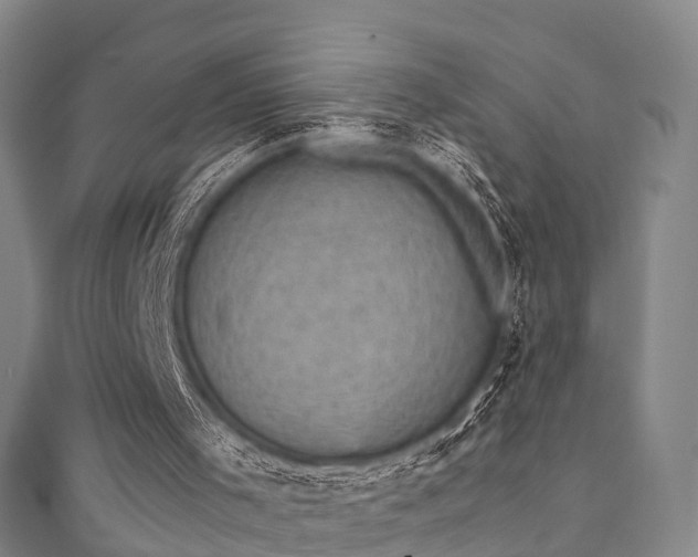 X0000111350001200907171152