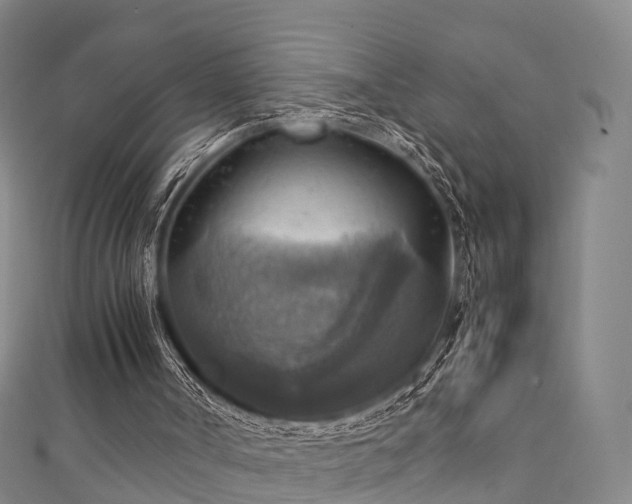 X0000111350002200907171152