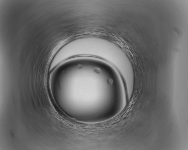 X0000111350003200907171152