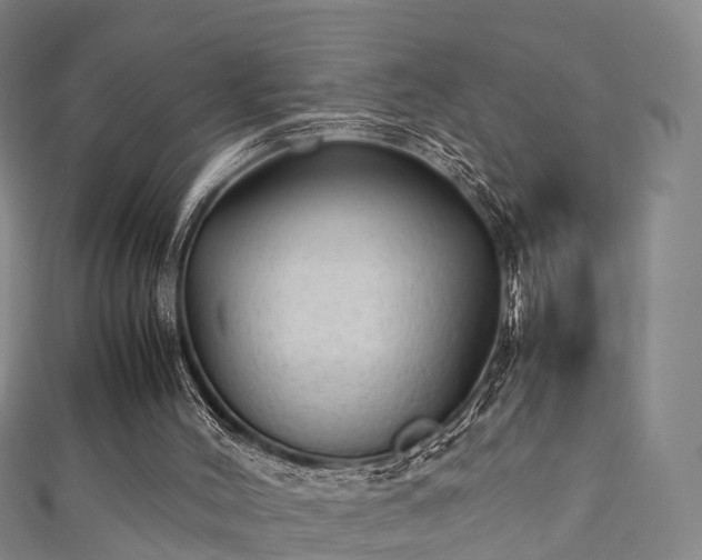 X0000111350004200907171152