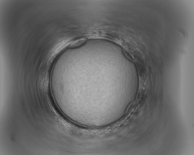 X0000111350005200907171152