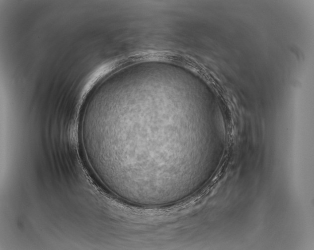 X0000111350006200907171152