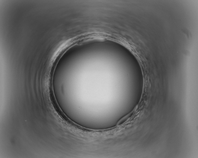 X0000111350007200907171152