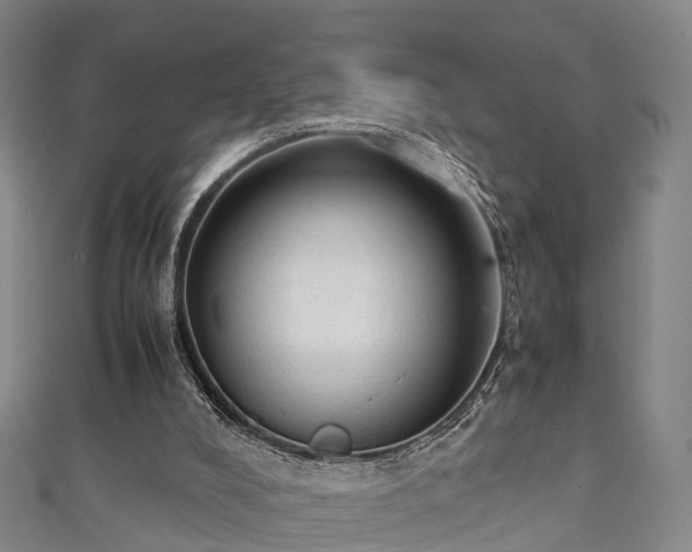 X0000111350008200907171152