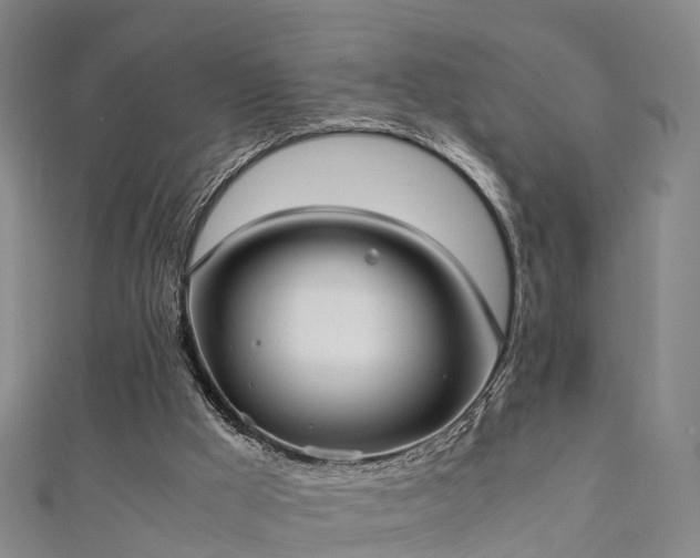 X0000111350009200907171152