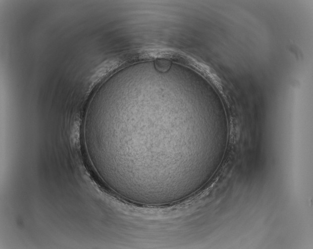 X0000111350010200907171152