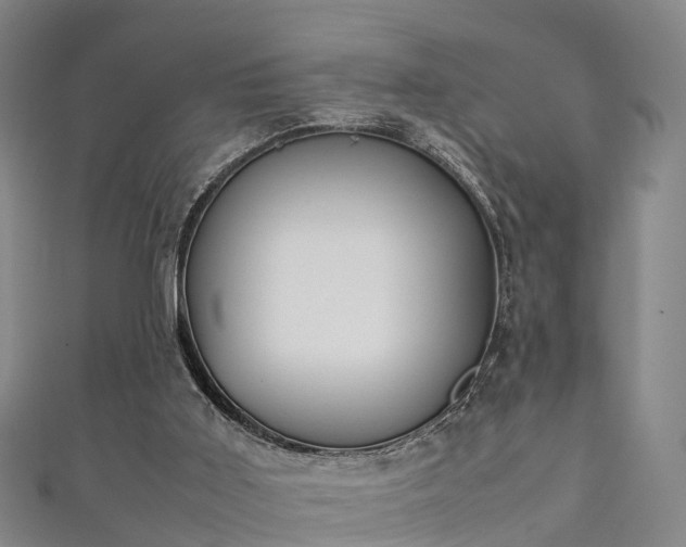 X0000111350011200907171152