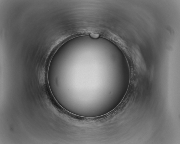 X0000111350012200907171152