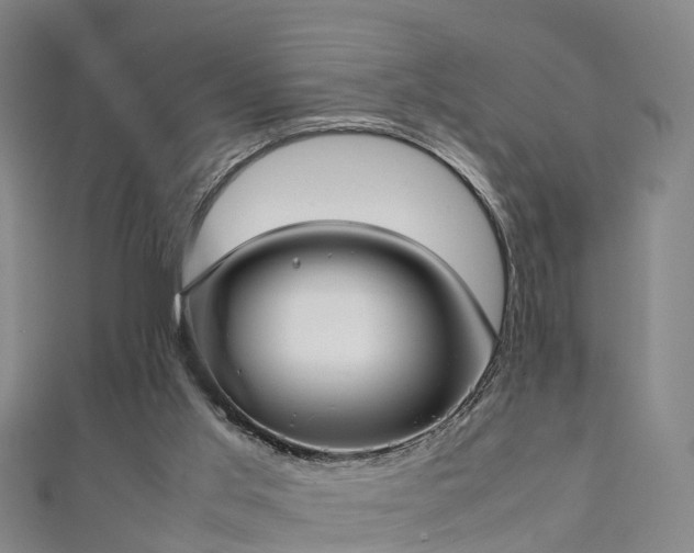 X0000111350013200907171152