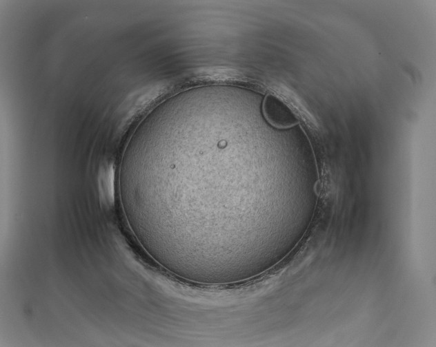 X0000111350014200907171152