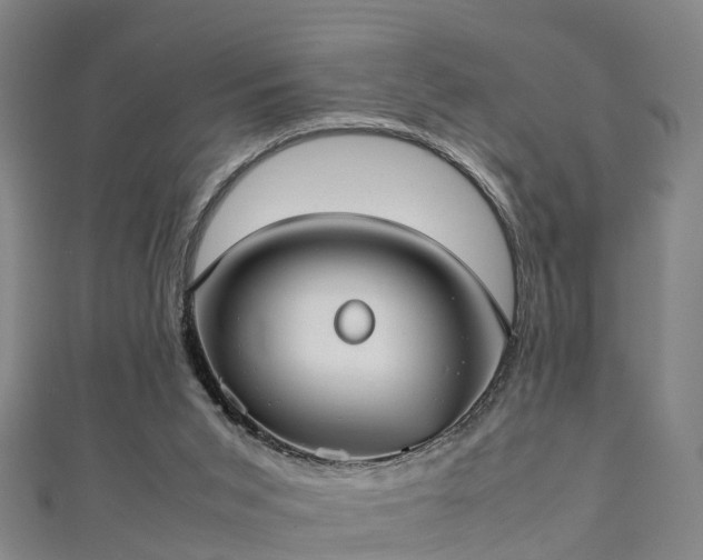 X0000111350015200907171152