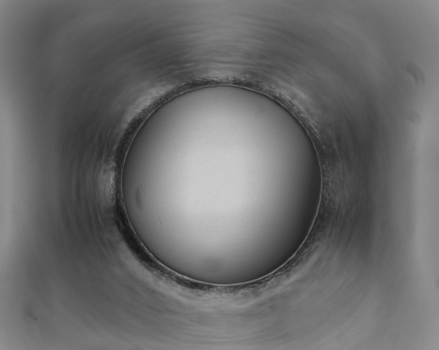 X0000111350016200907171152