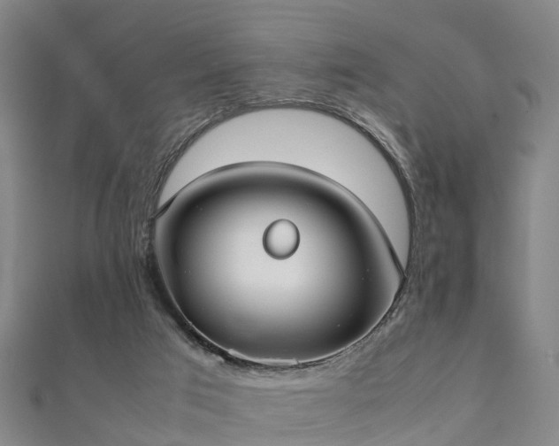 X0000111350017200907171152